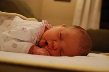Reid Sophia