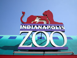 indy_zoo.jpg